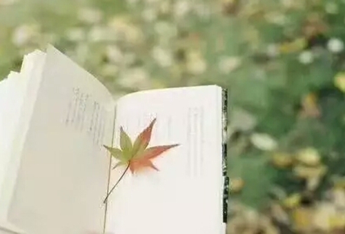 鼮Ĳο׸ʽ