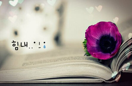 Ȩ˵Ȩ