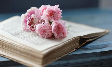 ںеҵȨս