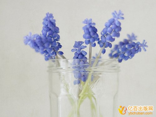 ù滮ѧר