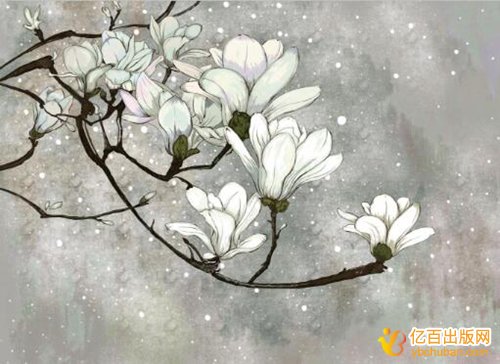 ڳ۳ĸ