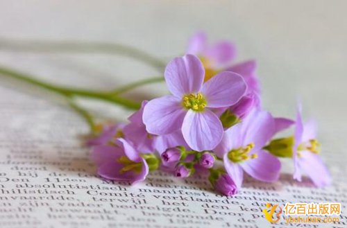 רǰЧ